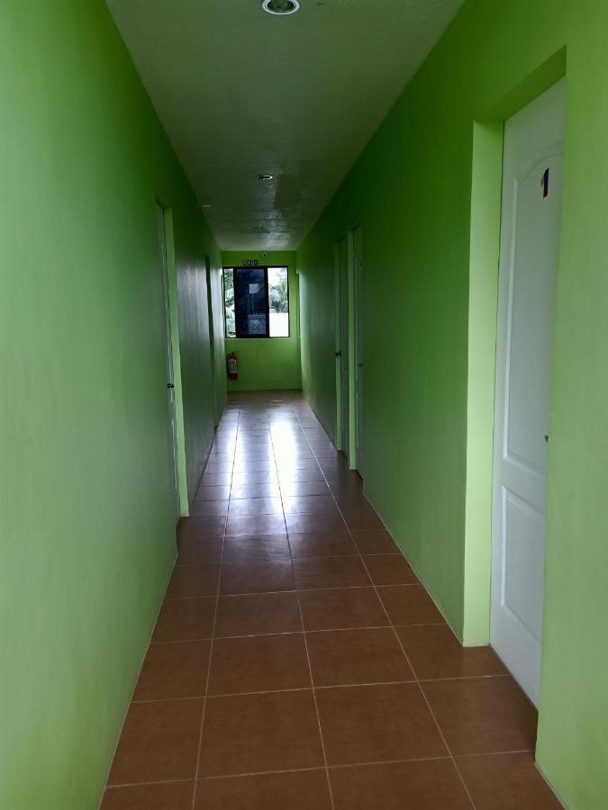 Alona Guest House Panglao Extérieur photo